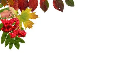 Autumn background Stock Photos