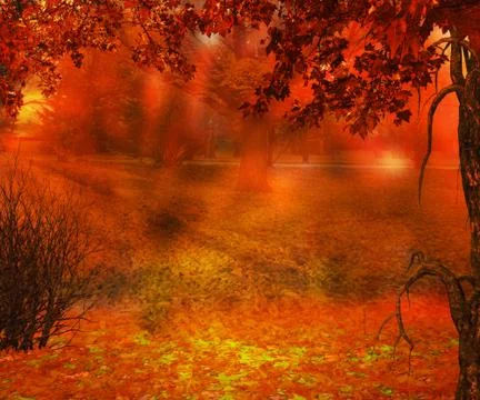 Autumn background Stock Photos