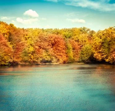 Autumn background Stock Photos