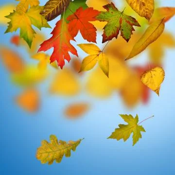 Autumn background Stock Photos