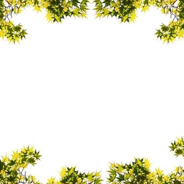 Autumn background 库存照片