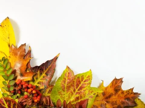 Autumn background Stock Photos