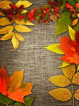 Autumn background. Stock Photos