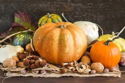 Autumn background Stock Photos