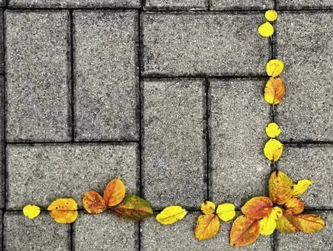 Autumn background Stock Photos