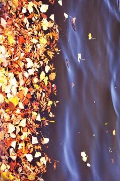 Autumn background Stock Photos