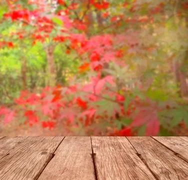 Autumn background Stock Photos