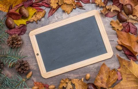 Autumn background Stock-Fotos