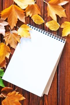 Autumn background Stock Photos