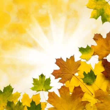 Autumn background Stock Photos