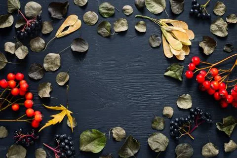 Autumn background Stock Photos