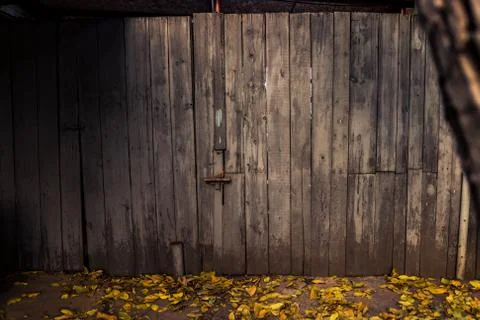 Autumn background Stock Photos
