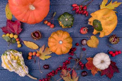 Autumn background 写真素材