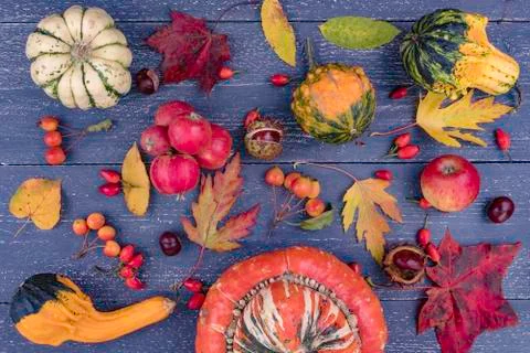 Autumn background Foto stock