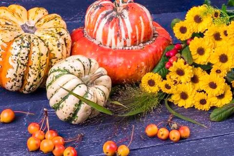 Autumn background 库存照片