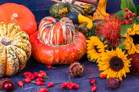 Autumn background Foto stock
