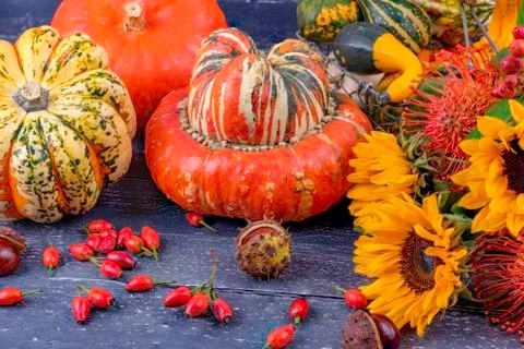 Autumn background 写真素材