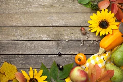 Autumn Background Stock Photos