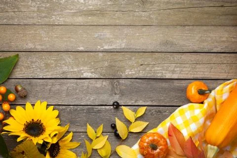 Autumn Background Stock Photos