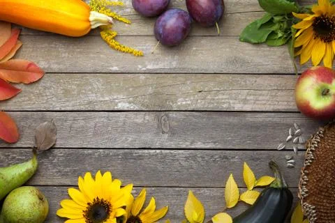 Autumn Background Stock Photos
