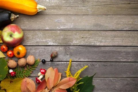 Autumn Background Stock Photos
