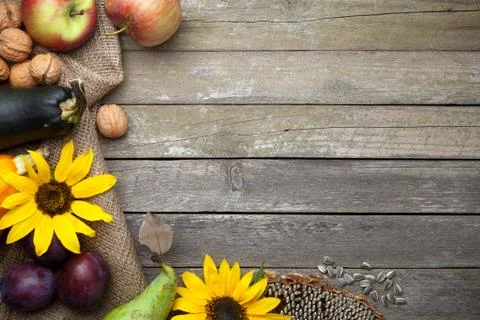 Autumn Background Stock Photos