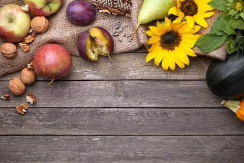 Autumn Background Stock Photos