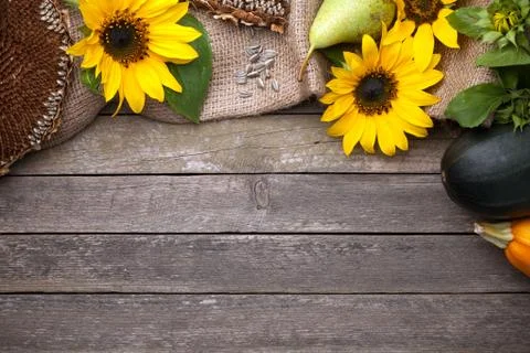 Autumn Background Stock Photos