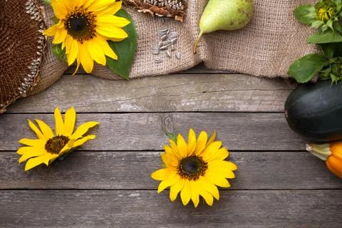 Autumn Background Stock Photos