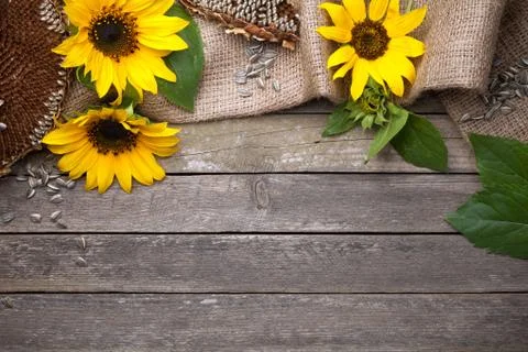 Autumn Background Stock Photos