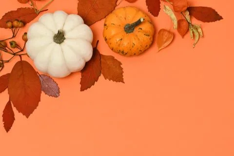 Autumn background Stock Photos