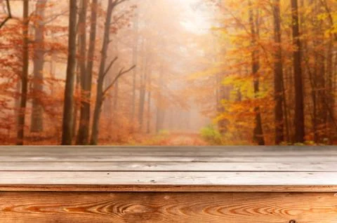 Autumn background Stock Photos