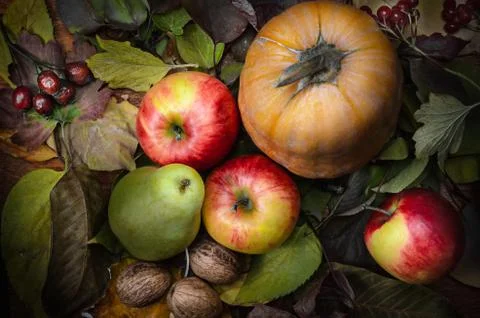 Autumn background Stock Photos