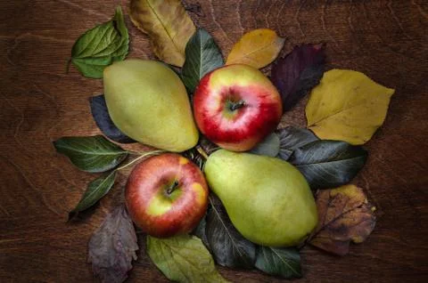 Autumn background Stock Photos