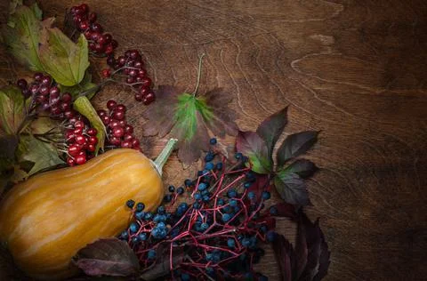 Autumn background Stock Photos