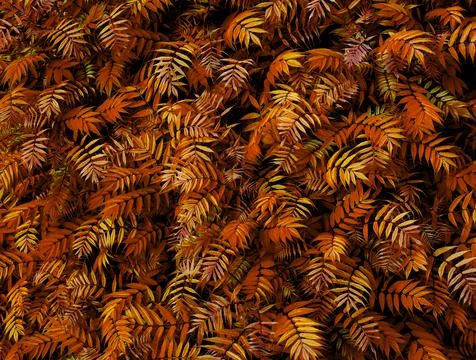 Autumn Background.  Stock Photos