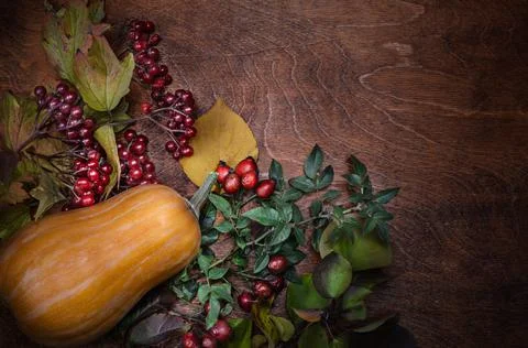 Autumn background Stock Photos