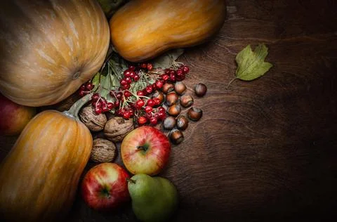 Autumn background Stock Photos
