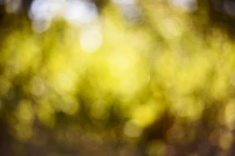 Autumn background Stock Photos