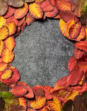 Autumn background 스톡 사진