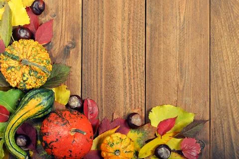 Autumn background Stock Photos