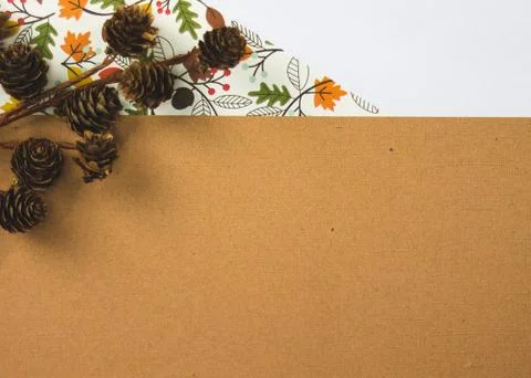 Autumn Background Pine Cones Foto stock