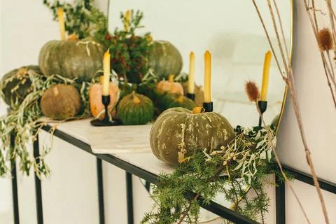Autumn background with pumpkin close up on table Fotos de archivo