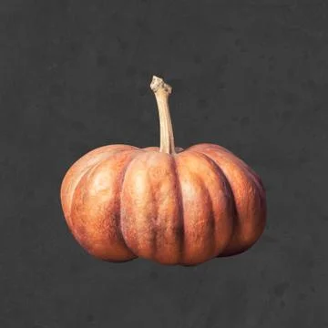 Autumn background with pumpkin Stock Photos