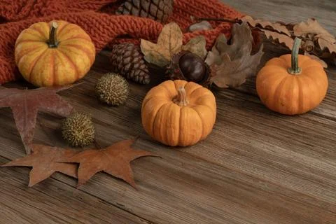 Autumn background with pumpkins and fall leaves on wooden table Fotos de archivo