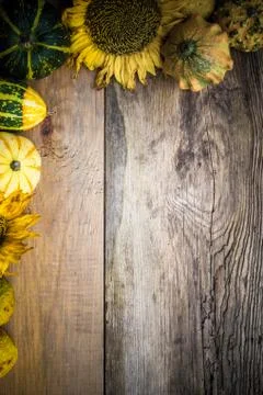 Autumn background pumpkins board 스톡 사진