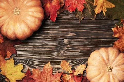 Autumn background with pumpkins, fallen maple leaves on the wooden boards 写真素材