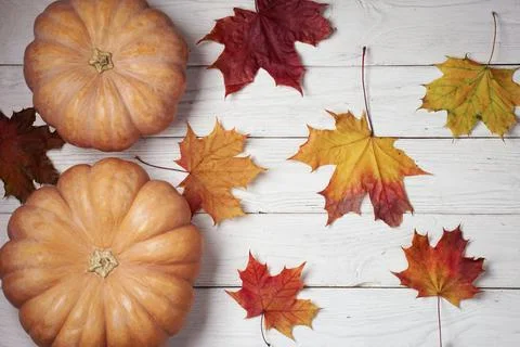 Autumn background with pumpkins, fallen maple leaves on the white wooden boar Stock Photos