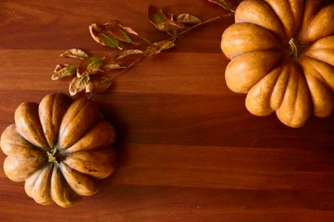 Autumn background with pumpkins Stock Photos