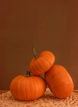 Autumn background with pumpkins. Stock Photos
